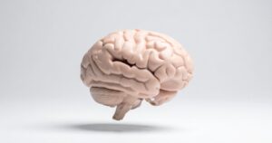 what are the parts of the brain — featured image